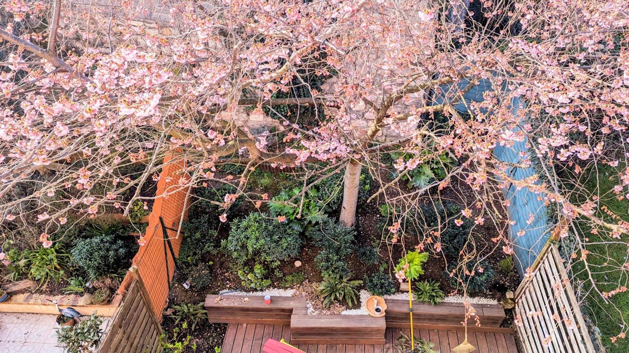Apartament Maison Avec Jardin Au Sud De Paris Gentilly Zewnętrze zdjęcie